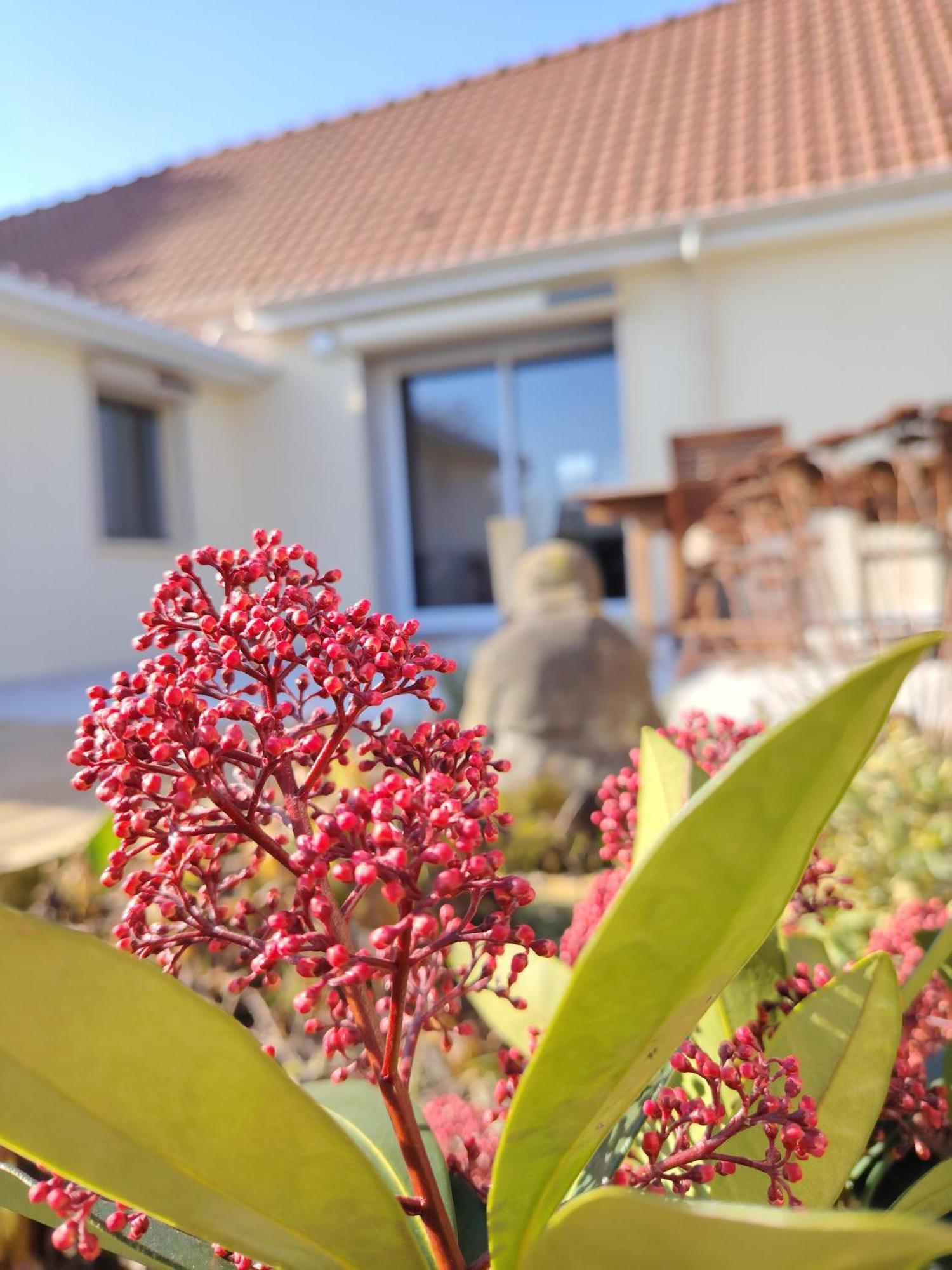 Le Jardin Des Lacs Gite Nature Et Spa Ardres Exterior foto